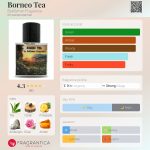 عطر ادکلن بورنئو تی بفامسن فراگرنس - Borneo Tea Bahfamsn Fragrance - بررسی، قیمت و خرید