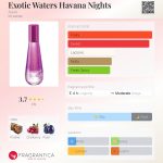 عطر ادکلن اگزاتیک واترز هاوانا نایتز آوون - Exotic Waters Havana Nights Avon - بررسی، قیمت و خرید