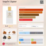 عطر ادکلن انجلس لیکور آمیرا پرفیومز - Angels Liquor Amira Parfums - بررسی، قیمت و خرید