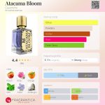 عطر ادکلن آتاکاما بلوم کاسانیچ - Atacama Bloom Casaniche - بررسی، قیمت و خرید
