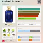 عطر ادکلن پاتچولی دو سوماترا شوپارد - Patchouli de Sumatra Chopard - بررسی، قیمت و خرید