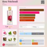 عطر ادکلن رز پاچولی بی نود و شش - Rose Patchouli B96 - بررسی، قیمت و خرید