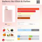 عطر ادکلن بربری هر الیکسیر د پارفوم بربری - Burberry Her Elixir de Parfum Burberry - بررسی، قیمت و خرید