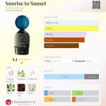 عطر ادکلن سانرایز تو سانست ایتِرنال جِرنی - Sunrise to Sunset Eternal Journey - بررسی، قیمت و خرید