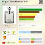 عطر ادکلن بولگاری پور هوم سوآر بولگاری - Bvlgari Pour Homme Soir Bvlgari - بررسی، قیمت و خرید