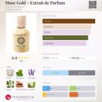 عطر ادکلن ماسک گلد اکستریت د پرفیوم برو نو آکامپورا - Musc Gold – Extrait de Parfum Bruno Acampora - بررسی، قیمت و خرید