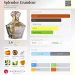 عطر ادکلن اسپلندور گراندور بنینا پرفیوم - Splendor Grandeur Benigna Parfums - بررسی، قیمت و خرید