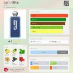 عطر ادکلن ناین اِی اِم دایو افنان - 9am Dive Afnan - بررسی، قیمت و خرید