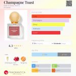 عطر ادکلن شمپاین توست بث اند بادی ورکس - Champagne Toast Bath & Body Works - بررسی، قیمت و خرید