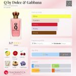عطر ادکلن کی بای دولچه اند گابانا دولچه اند گابانا - Q by Dolce & Gabbana Dolce&Gabbana - بررسی، قیمت و خرید