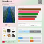 عطر ادکلن ونداور کلندستین لابراتوریز - Wendover Clandestine Laboratories - بررسی، قیمت و خرید