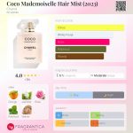 عطر ادکلن کوکو مادمازل 헤یر 미스트 شانل - Coco Mademoiselle Hair Mist (2023) Chanel - بررسی، قیمت و خرید