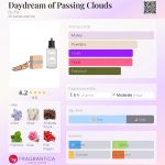 عطر ادکلن دی‌دریم آو پسینگ کلادز بای فار - Daydream of Passing Clouds By Far - بررسی، قیمت و خرید