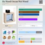 عطر ادکلن هی وود اوشن وت وود دی اسکورد - He Wood Ocean Wet Wood DSQUARED² - بررسی، قیمت و خرید