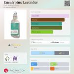 عطر ادکلن یوکالیپتوس لاوندر بث اند بادی ورکز - Eucalyptus Lavender Bath & Body Works - بررسی، قیمت و خرید