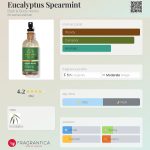 عطر ادکلن یوکالیپتوس اسپیرمینت بث اند بادی ورکس - Eucalyptus Spearmint Bath & Body Works - بررسی، قیمت و خرید