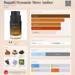 عطر ادکلن بوگاتی داینامیک موو امبر بوگاتی فشن - Bugatti Dynamic Move Amber Bugatti Fashion - بررسی، قیمت و خرید