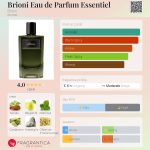 عطر ادکلن بریونی او دو پرفیوم اسانسیل بریونی - Brioni Eau de Parfum Essentiel Brioni - بررسی، قیمت و خرید