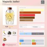 عطر ادکلن مگنتیک امبر بنتلی - Magnetic Amber Bentley - بررسی، قیمت و خرید