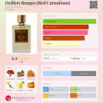 عطر ادکلن اولیه روژ دی اس اچ پرفیومز - Oeillets Rouges (Red Carnations) DSH Perfumes - بررسی، قیمت و خرید
