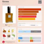 عطر ادکلن سی‌ینا دی اس اچ پرفیومز - Sienna DSH Perfumes - بررسی، قیمت و خرید