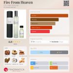 عطر ادکلن فایر فرام هیون سی بی آی هیت پرفیوم - Fire From Heaven CB I Hate Perfume - بررسی، قیمت و خرید