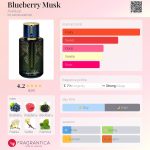 عطر ادکلن بلو بری ماسک عربیات - Blueberry Musk Arabiyat - بررسی، قیمت و خرید