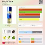 عطر ادکلن بوی آف جون بیبی پاریس - Boy of June Bibbi Paris - بررسی، قیمت و خرید