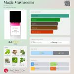 عطر ادکلن مجیک ماشرومز بوهوبوکو - Magic Mushrooms Bohoboco - بررسی، قیمت و خرید