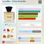 عطر ادکلن ورسا بیرخولز - Versailles - Trésor de Jardin Birkholz - بررسی، قیمت و خرید