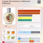 عطر ادکلن کام دس گارسون ایکس آندرکاور هولیگریس کوم دِ گارسون - Comme des Garcons x Undercover Holygrace Comme des Garcons - بررسی، قیمت و خرید