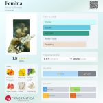 عطر ادکلن فمینا البـرتا فـرتـی - Femina Alberta Ferretti - بررسی، قیمت و خرید