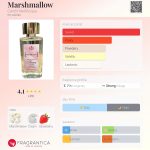 عطر ادکلن مارشمالو چرکی نل آکوا - Marshmallow Cerchi Nell’Acqua - بررسی، قیمت و خرید