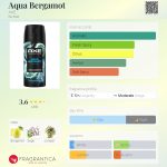 عطر ادکلن آکوا برگاموت اکس - Aqua Bergamot AXE - بررسی، قیمت و خرید