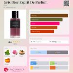 عطر ادکلن گریس دیور اسپریت دی پرفیوم دیور - Gris Dior Esprit De Parfum Dior - بررسی، قیمت و خرید