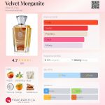 عطر ادکلن ولوت مورگانایت اتا عطار الحص - Velvet Morganite Attar Al Has - بررسی، قیمت و خرید
