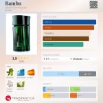 عطر ادکلن بامبو آدولفو دومینگز - Bambu Adolfo Dominguez - بررسی، قیمت و خرید