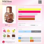 عطر ادکلن وایلد رز بارن پرفیومری - Wild Rose Burren Perfumery - بررسی، قیمت و خرید