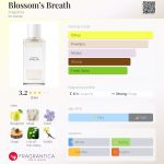 عطر ادکلن بلاسامز برث آنجلین - Blossom’s Breath Angeline - بررسی، قیمت و خرید