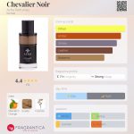 عطر ادکلن شوالیه نوآر آژا پرفیومز - Chevalier Noir Azha Perfumes - بررسی، قیمت و خرید