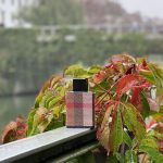 عطر ادکلن لندن فور من باربری - London for Men Burberry - بررسی، قیمت و خرید
