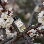 عطر ادکلن سیکومور او دو پرفیوم شانل - Sycomore Eau de Parfum Chanel - بررسی، قیمت و خرید
