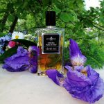 عطر ادکلن سدره آیریس افینسنس - Cedrè Iris Affinessence - بررسی، قیمت و خرید