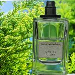 عطر ادکلن سایپرس سدر بنانا ریپابلیک - Cypress Cedar Banana Republic - بررسی، قیمت و خرید