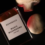 عطر ادکلن مجیک ماشرومز بوهوبوکو - Magic Mushrooms Bohoboco - بررسی، قیمت و خرید