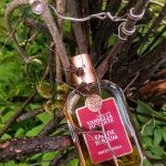 عطر ادکلن وانیلیا پیکانته ارباریو توسکانو - Vaniglia Piccante Erbario Toscano - بررسی، قیمت و خرید