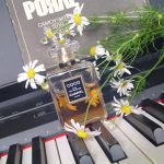 عطر ادکلن کوکو او دو پرفیوم شانل - Coco Eau de Parfum Chanel - بررسی، قیمت و خرید