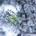 عطر ادکلن او دو کارتیر کارتیر - Eau de Cartier Cartier - بررسی، قیمت و خرید
