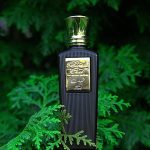 عطر ادکلن تیب بلند عود - Teeb Blend Oud - بررسی، قیمت و خرید