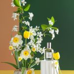 عطر ادکلن اسپرینگ بلوم بروکارد - Spring Bloom Brocard - بررسی، قیمت و خرید